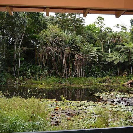 Rainforest Eco Lodge Сува Экстерьер фото