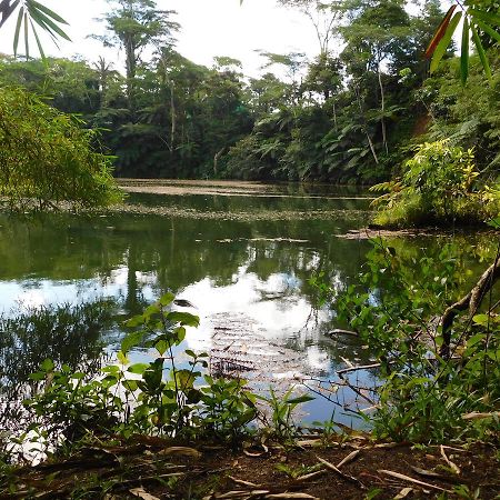 Rainforest Eco Lodge Сува Экстерьер фото