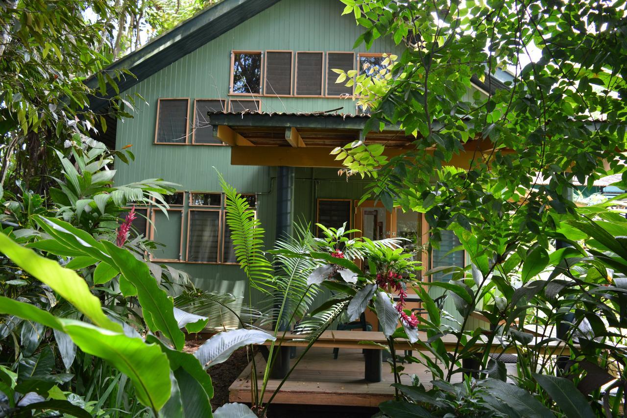 Rainforest Eco Lodge Сува Экстерьер фото