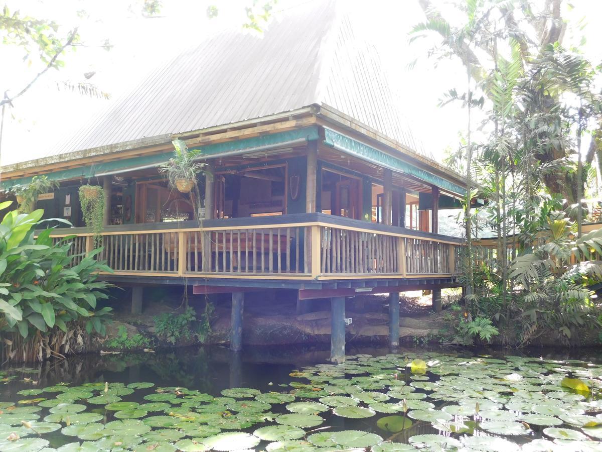 Rainforest Eco Lodge Сува Экстерьер фото