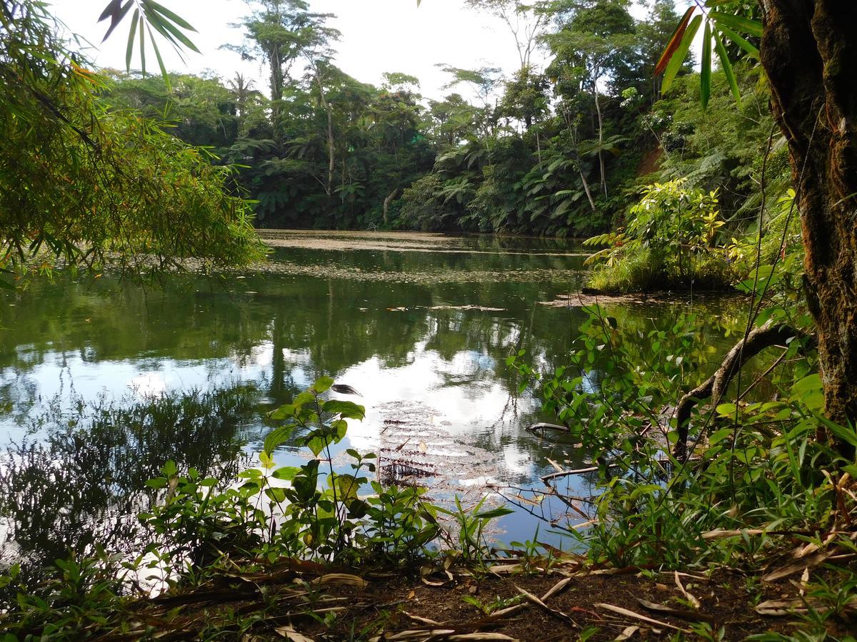 Rainforest Eco Lodge Сува Экстерьер фото