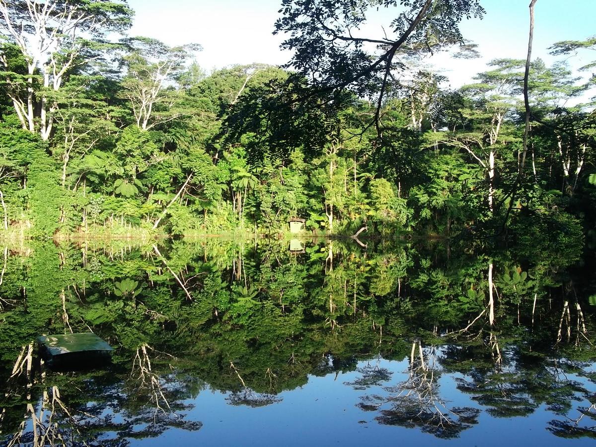 Rainforest Eco Lodge Сува Экстерьер фото