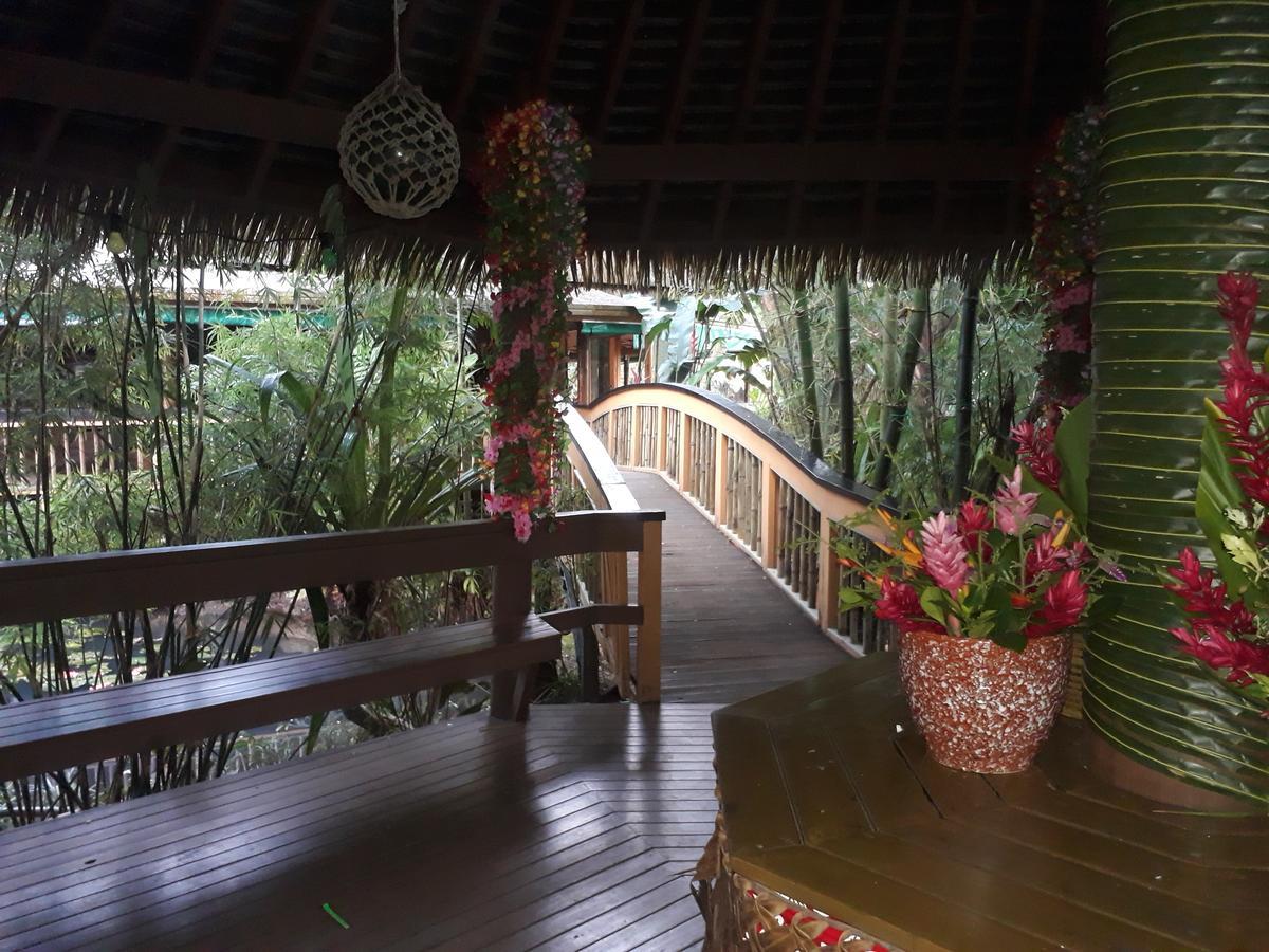 Rainforest Eco Lodge Сува Экстерьер фото