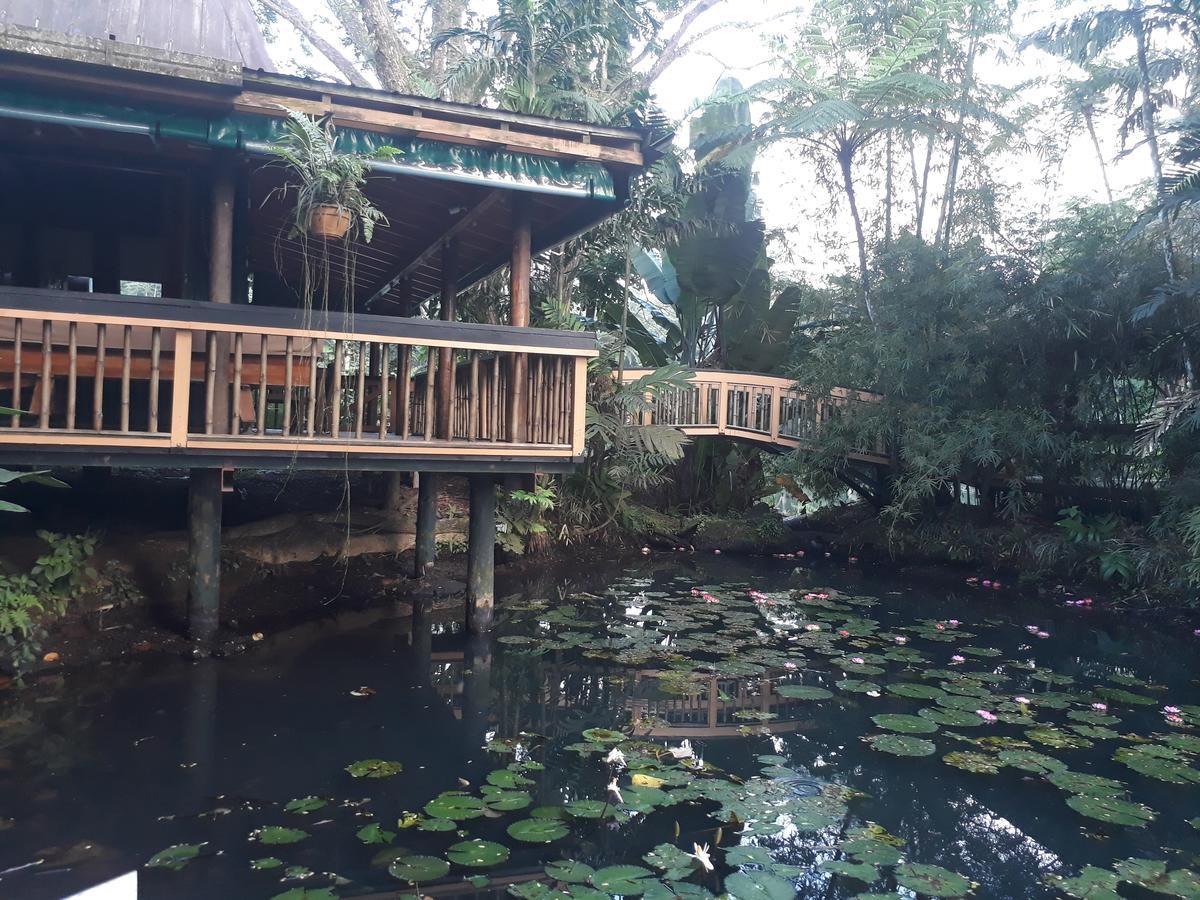 Rainforest Eco Lodge Сува Экстерьер фото