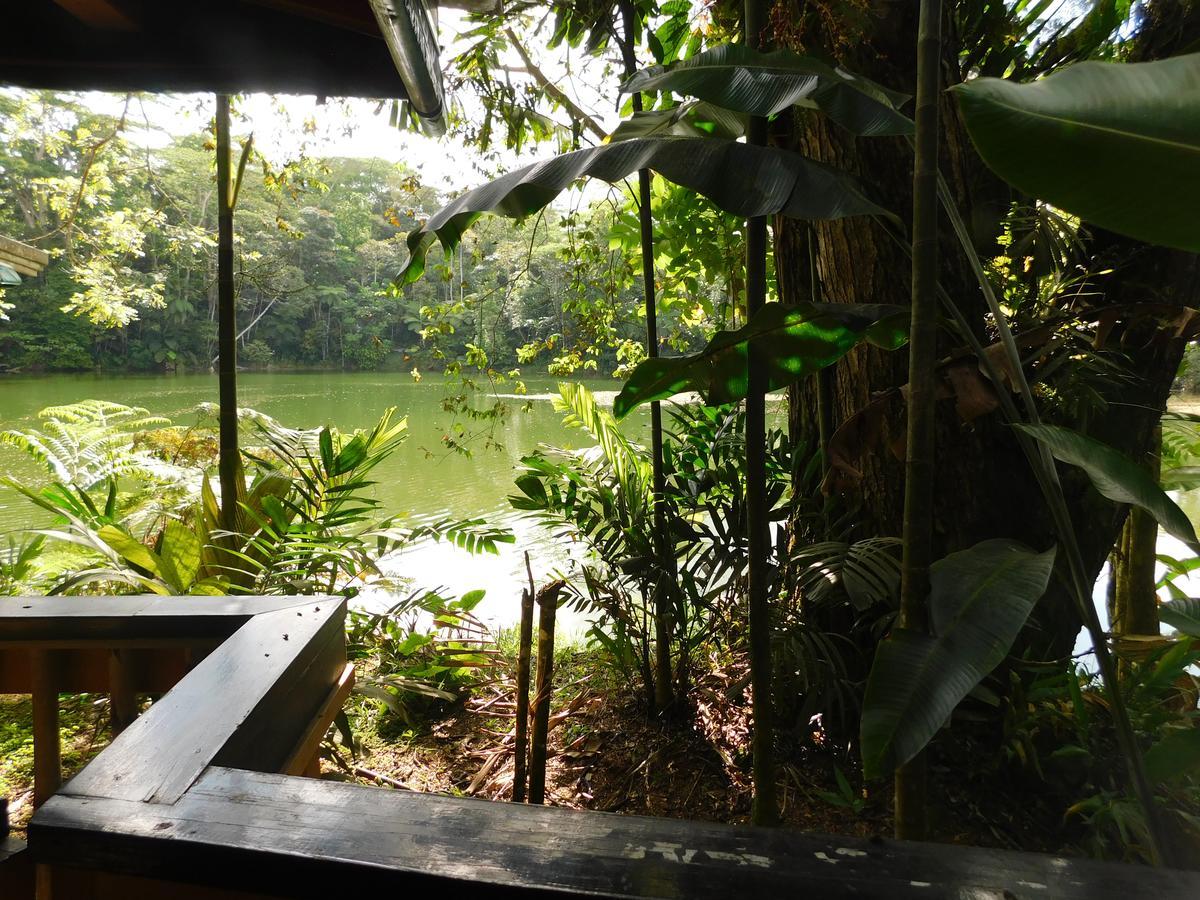 Rainforest Eco Lodge Сува Экстерьер фото